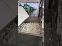 高精度,低保守性 プラスチックキャップ印刷機