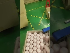 スクリーンプリントと袋詰め機